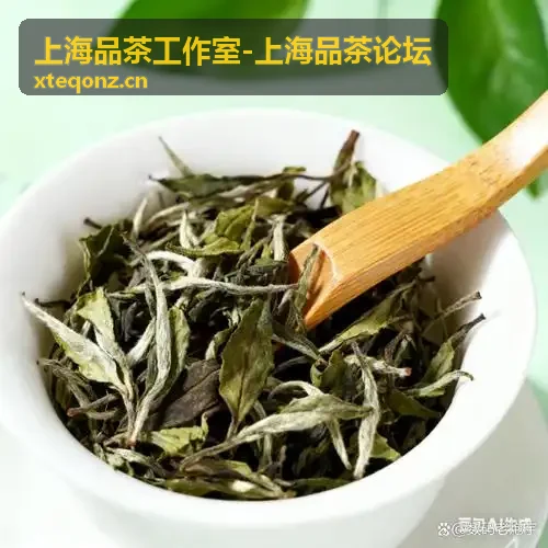 上海品茶工作室茶会雅集